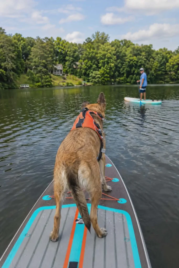 7 – Zelic – HERO – SUP AI Cropped