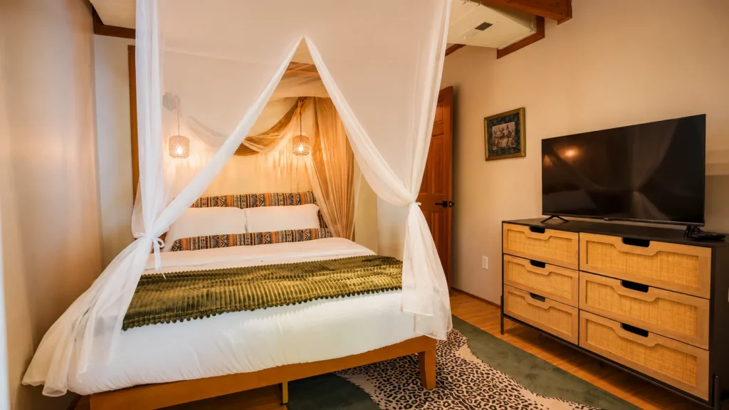 Original Professional – Safari Room – Wide Shot – Color corrected with AI
